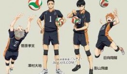 排球少年吃瓜,热血青春，球场上的激情与成长