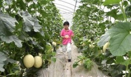 钓鱼吃瓜的图片,悠然自得的生活画卷