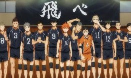 排球少年吃瓜,热血青春，球场上的激情与成长