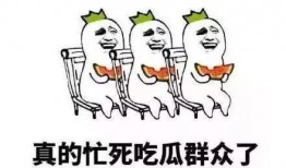 论吃瓜现状,网络舆论场的新现象解析