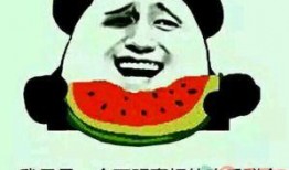 乖乖吃瓜的群众,揭秘乖乖吃瓜群众的背后真相