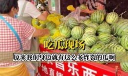 千千吃瓜全文,揭秘娱乐圈背后的真相与八卦