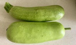 立秋常吃三瓜,养生必备——常吃三瓜，健康一整秋