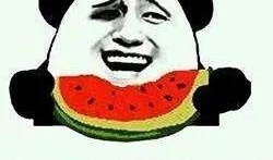 吃瓜群众种瓜人,见证平凡中的不凡传奇