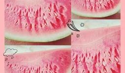 鹤壁女孩吃瓜,揭秘网络舆论背后的真相