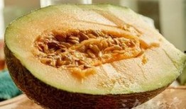 孕妇可以吃哈密瓜吗刚怀孕的孕妇,哈密瓜，孕妇的甜蜜选择