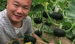 喜欢吃瓜的小瓜,探寻美食与娱乐的完美融合