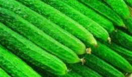 吃瓜解压小妙招,解压生活新方式