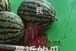 专业吃瓜,专业吃瓜者的深度剖析