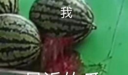 专业吃瓜,专业吃瓜者的深度剖析