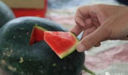 江滨瓜怎么吃,解锁夏日清新美味