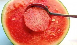 吃瓜大勺子图片搞笑,一场欢乐的视觉盛宴