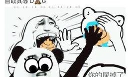 吃瓜群众soul,揭秘社交平台上的“瓜田”风云