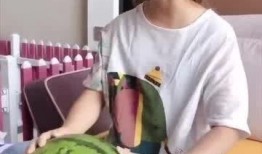 毛孩子吃瓜,欢乐无限，宠物界的夏日盛宴