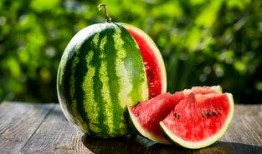 洛塘吃瓜,一场别开生面的吃瓜盛宴