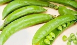 丁成新吃瓜吃豆,瓜豆之间，品味人生百态