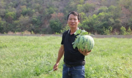 吃瓜群众张浩,揭秘娱乐圈幕后故事