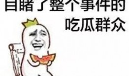 吃瓜群众雅称,网络时代的围观力量