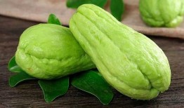 尼寇吃瓜,揭秘娱乐圈幕后故事