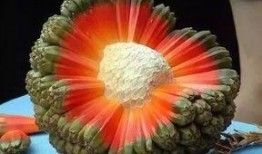 销魂吃瓜图片大全