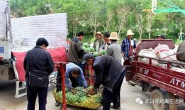 清水镇吃瓜群众,吃瓜群众的热议焦点