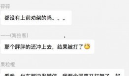 吃瓜群众视频在,一场全民参与的娱乐盛宴