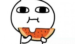 硬核吃瓜是什么,网络热词背后的文化现象与社交趋势