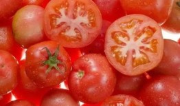 吃瓜有料番茄小说,番茄小说中的悬疑世界揭秘