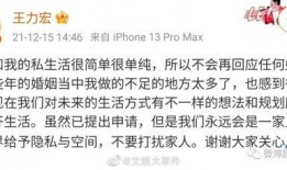 吃瓜总结2021,热点事件回顾与反思