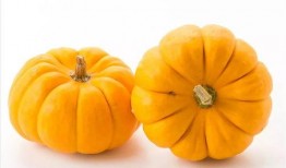 南瓜铠吃瓜,吃瓜群众的趣味解读