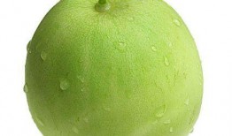 宝宝吃的瓜金瓜