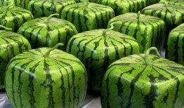 全亚洲都在吃瓜,瓜香四溢，揭秘全球“吃瓜”文化盛况