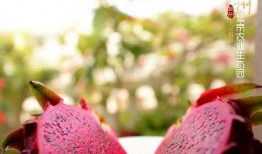 吃瓜观众兔头,揭秘娱乐圈幕后故事