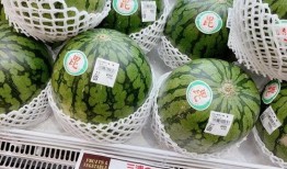 仙姆吃瓜,揭秘娱乐圈背后的秘密与真相