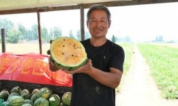 最新吃瓜热门基地,热门事件背后的真相与笑料