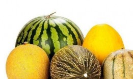 多多转发吃瓜,多多转发背后的网络现象解析