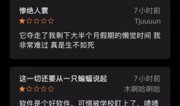 钉钉吃瓜视频,一场职场八卦的狂欢盛宴