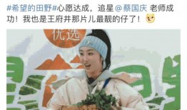 追星吃瓜现场,吃瓜群众的真实写照