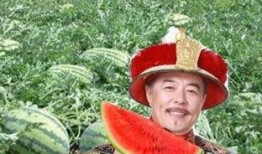 乾隆吃瓜回宫路上,回宫路上的意外邂逅