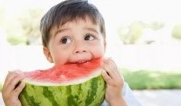 毛孩子吃瓜,欢乐无限，宠物界的夏日盛宴