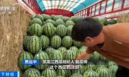 吃瓜要钱可信吗,真相与可信度分析