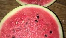 河北吃 瓜群,网络社交新现象背后的故事