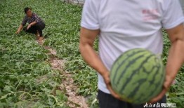 奔现被渣吃瓜,一场网络爱情的现实反转