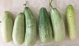 吃瓜的心酸经历,那些吃瓜人的心酸往事