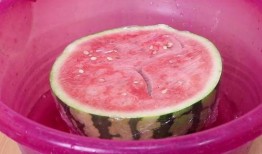 吃瓜凉夜,揭秘娱乐圈背后的故事