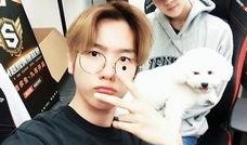 娱乐吃瓜酱男孩,揭秘娱乐圈背后的故事与趣闻