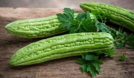 吃凉瓜胃痛,揭秘夏日饮食健康之谜