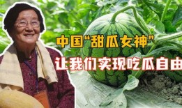 吃瓜吃出事情,一瓜引发的连锁反应