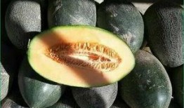 小孩吃哈密瓜好吗