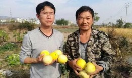 吃瓜群众雅称,网络时代的围观力量